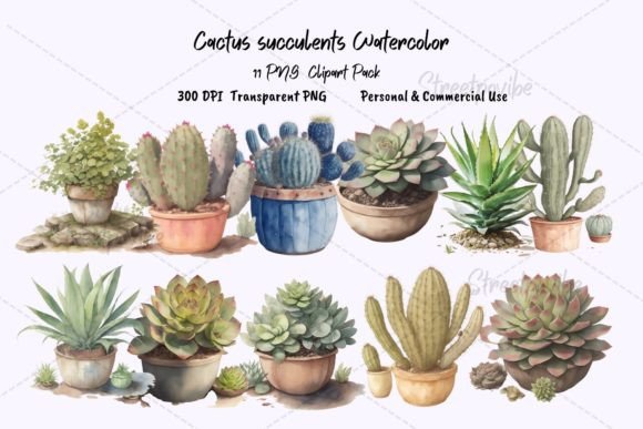 Evaluating Cactus Succulent Watercolor Clipart PNG for Creative Projects