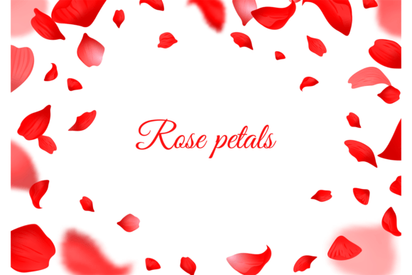 Falling Red Rose Petals. Realistic Flyin
