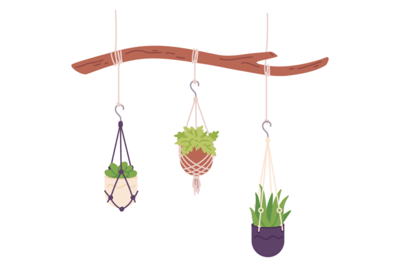 Houseplant Hanging from Tree Branch. Dec for Creative Living Spaces