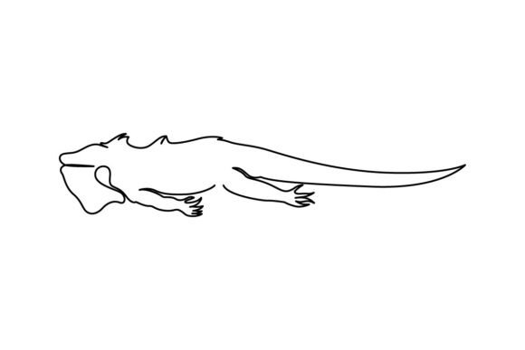 Iguana Continuous Line Art