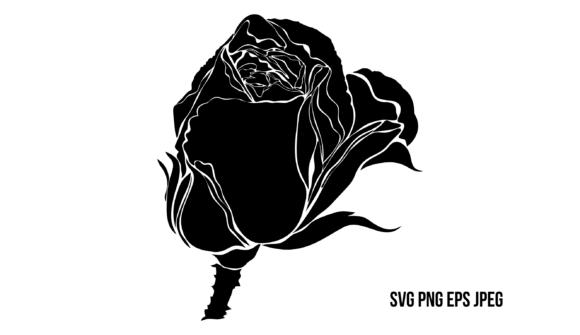 The Black Rose: A Timeless Symbol of Elegance and Mystery